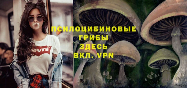 МДМА Бородино